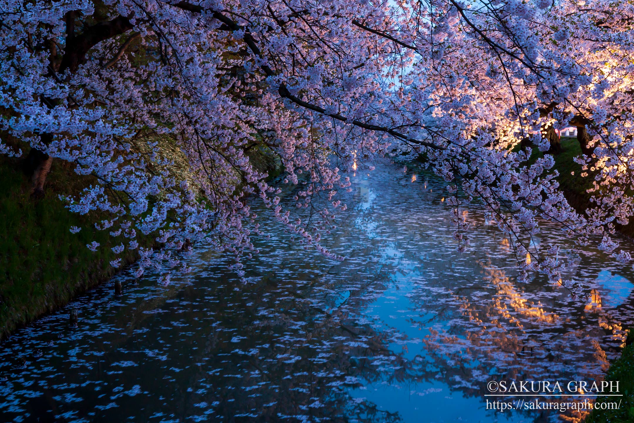 弘前公園