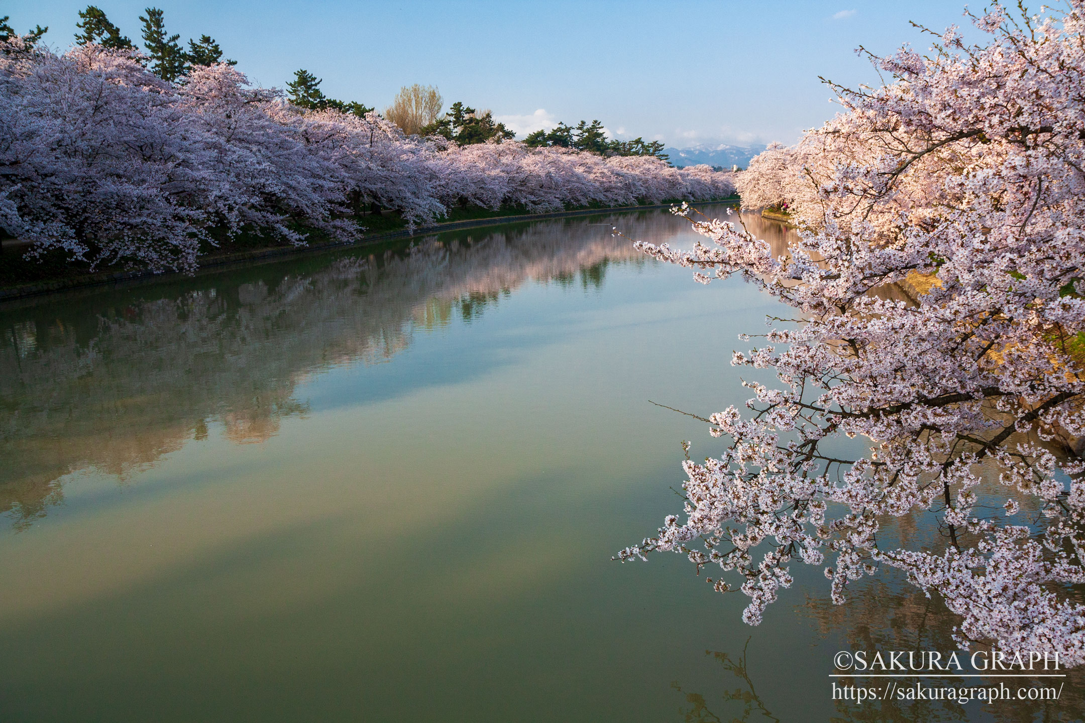 弘前公園